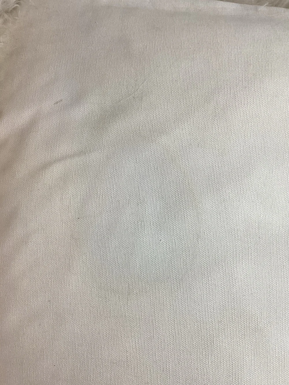 West Elm White Sheep Hair Pillows (2)